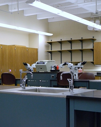 Lynn Hall Lab Renovations